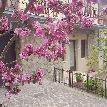 La Casina Di Nonna Giulia Lejlighed Castiglione dʼOrcia Eksteriør billede