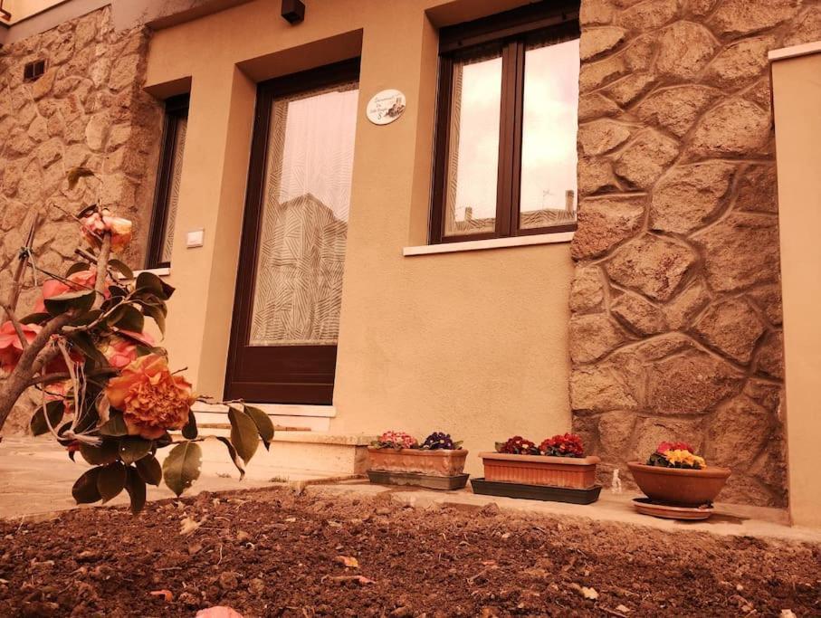 La Casina Di Nonna Giulia Lejlighed Castiglione dʼOrcia Eksteriør billede