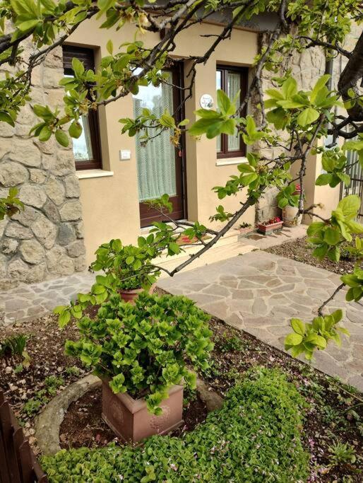 La Casina Di Nonna Giulia Lejlighed Castiglione dʼOrcia Eksteriør billede
