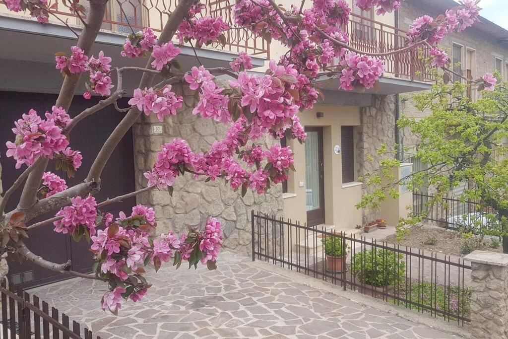 La Casina Di Nonna Giulia Lejlighed Castiglione dʼOrcia Eksteriør billede